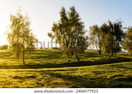 A stunning sunrise over the lush greenery of Sean Walsh Park in Tallaght, South Dublin