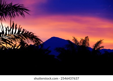 A stunning sunset casts vibrant hues over a mountain silhouette, framed by lush palm trees. This serene scene captures the beauty of nature in a tranquil tropical setting. - Powered by Shutterstock