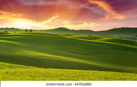 Stunning Sunset On Green Rolling Hills In Tuscany