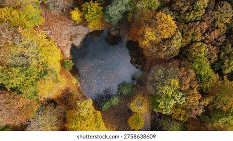 A stunning top-down drone perspective capturing a secluded woodland lake encircled by dense autumn forest, with sunlight filtering through colorful leaves onto still water. Educational ecosystem