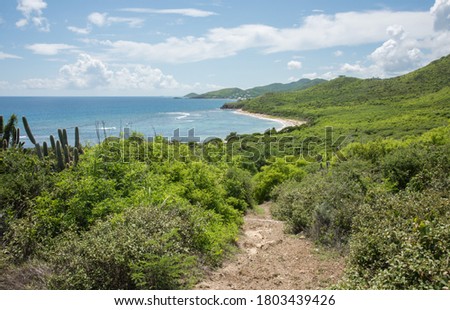 Stunning trail through the coastal flora and cactus on the east end of St. Croix with view over Grapetree Bay and rolling landscape in the US Virgin Islands