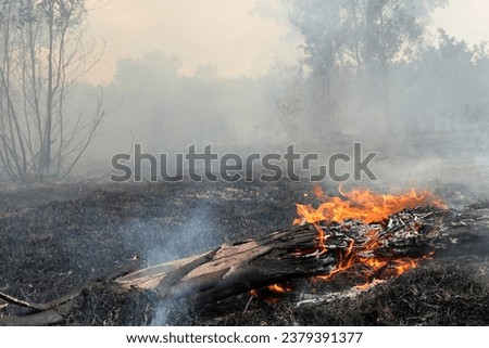 A stunning veld fire in a field in between a suburb and a railway. Showing the death and destruction of an uncontrolled fire. looks like a war scene showing the after effects.