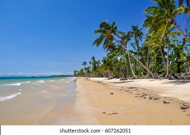 Stunning View Of The Beach In Mission Beach, Cassowary Coast Region, Queensland, Australia. White Sand Beach, Crystal Clear Water And Palm Trees Along The Beach.