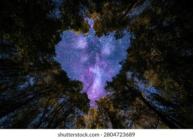 A stunning view from below, looking up through a dense forest canopy at a vibrant, heart-shaped galaxy in the night sky.