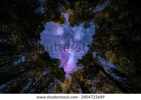 A stunning view from below, looking up through a dense forest canopy at a vibrant, heart-shaped galaxy in the night sky.