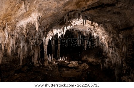 A stunning view of a cave interior featuring stalactites and stalagmites. The lighting highlights the intricate formations and textures of the rock, creating a mysterious and enchanting atmosphere.