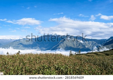 A stunning view of Colca Canyon with dramatic cliffs, lush greenery, and a clear blue sky