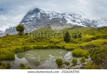 Stunning view of Eiger's north face and Grindelwald valley from Kleine Scheidegg, Grindelwald, Canton of Bern, Switzerland