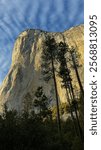 A stunning view of El Captain in Yosemite National Park at golden hour