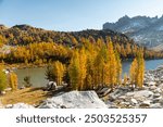 A stunning view of the Enchantments hike in Washington during October, when the larches turn golden. The vibrant autumn colors contrast with the rugged mountain landscape, creating a breathtaking scen