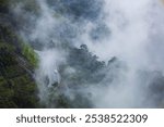 The stunning view in Genting highlands from a cable car as they go down a hill with a foggy in the background, Rainforest, Malaysia. Bird