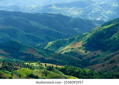 Stunning view of a lush green mountain landscape under a clear blue sky. This serene outdoor scene captures the peaceful beauty of nature and vibrant terrain. - Powered by Shutterstock