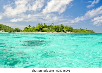 4 Motu koromiri Images, Stock Photos & Vectors | Shutterstock