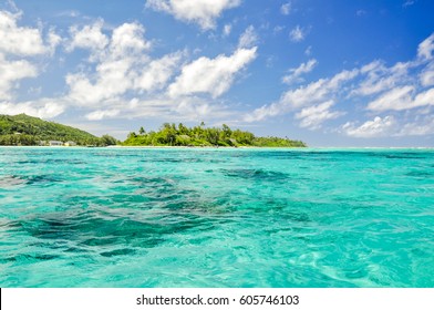 4 Motu koromiri Images, Stock Photos & Vectors | Shutterstock