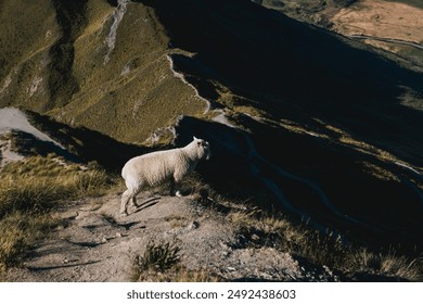 A stunning view of a mountain and lake landscape under a clear blue sky. The expansive scenery features rolling hills, distant peaks, and calm waters, creating a serene and inviting atmosphere. - Powered by Shutterstock