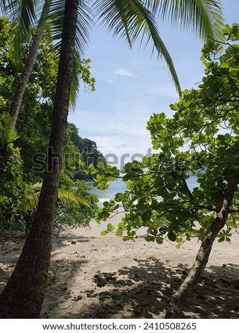 Similar – Foto Bild Strand in Thailand