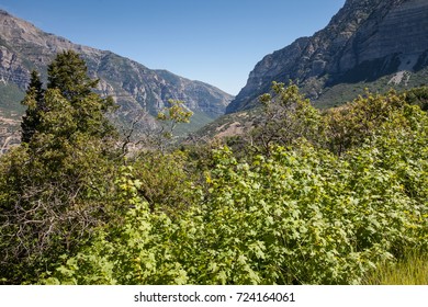 Stunning View Of Provo Canyon