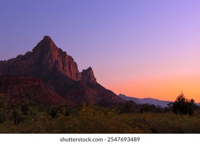 Stunning view of a red rock mountain in Zion National Park during sunset, with vibrant hues of orange and purple in the sky and a foreground of wildflowers in a serene natural landscape. - Powered by Shutterstock