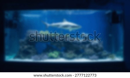 A stunning view of a shark gracefully navigating a spacious aquarium, showcasing marine life and underwater ecosystems. The image captures the sharks elegance.
