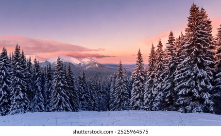 A stunning view of a snowy mountain forest at sunset, with tall evergreen trees covered in white snow and a pink-hued sky above. - Powered by Shutterstock