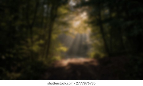 A stunning view of sunlight streaming through a dense forest canopy, creating a beautiful and serene natural scene. The light filters through the leaves, illuminating the forest floor.