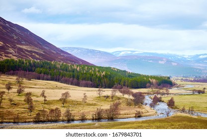 Stunning view through a beautiful valley in Cairngorms, Scotland. A river runs through the middle, with trees lining the way. Purple heather lines the mountainside 