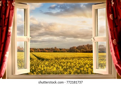Free Stock Photo of Field Viewed Through Window | Download Free Images ...