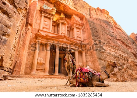 Stunning view of two camels posing in front of the Al Khazneh (The Treasury) in Petra. Al-Khazneh is one of the most elaborate temples in Petra, Jordan.