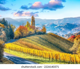 Stunning vineyards landscape in South Styria near Gamlitz. Autumn scene of grape hills in popular travell destination Eckberg. Location: Gamlitz, district of Leibnitz in Styria, Austria. Europe.