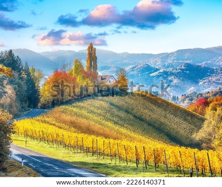 Stunning vineyards landscape in South Styria near Gamlitz. Autumn scene of grape hills in popular travell destination Eckberg. Location: Gamlitz, district of Leibnitz in Styria, Austria. Europe.