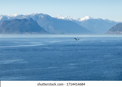 A Stunning Vista Of Howe Sound Mountains And Ocean With An Eagle Flying In The Distance.