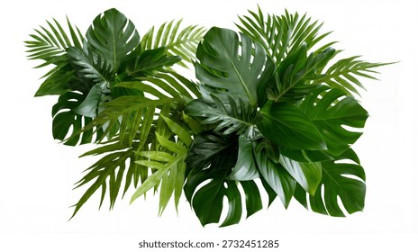 A stunning visual composition featuring an abundant display of diverse tropical green leaves, such as the distinct Monstera and delicate ferns. This lush foliage is artfully arranged against a crisp white background, creating a vibrant and sophisticated natural aesthetic. It serves as an exceptional design element for evoking feelings of nature, relaxation, travel destinations, or modern interior decor.