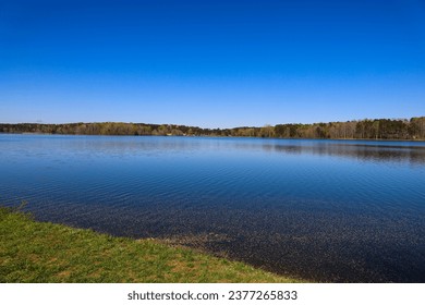 a stunning winter landscape at Lake Horton with rippling blue lake water surrounded by green trees and grass with a gorgeous clear blue sky in Fayetteville Georgia USA - Powered by Shutterstock