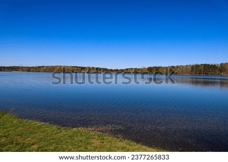 a stunning winter landscape at Lake Horton with rippling blue lake water surrounded by green trees and grass with a gorgeous clear blue sky in Fayetteville Georgia USA