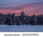 Stunning winter sunset over the snow-covered landscape of Flagstaff, Arizona, showcasing vibrant pink skies and serene pine forests.