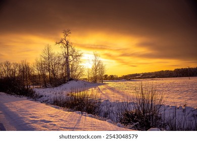 A stunning winter sunset over a snow-covered field with silhouetted bare trees and a warm orange sky. The golden hour light casts long shadows, creating a serene and tranquil atmosphere. - Powered by Shutterstock