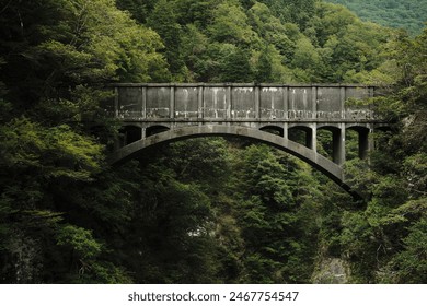 Sturdy brown bridge in the forest