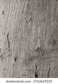 The Sturdy Trunk of a Jamun Tree