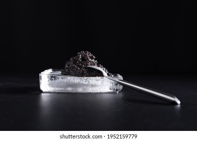 Sturgeon black caviar, on ice in black background. Luxury delicatessen food