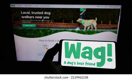 Stuttgart, Germany - 02-04-2022: Person holding smartphone with logo of US pet care company Wag Labs Inc. on screen in front of website. Focus on phone display. Unmodified photo.