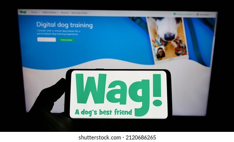 Stuttgart, Germany - 02-04-2022: Person holding mobile phone with logo of American pet care company Wag Labs Inc. on screen in front of business web page. Focus on phone display. Unmodified photo.