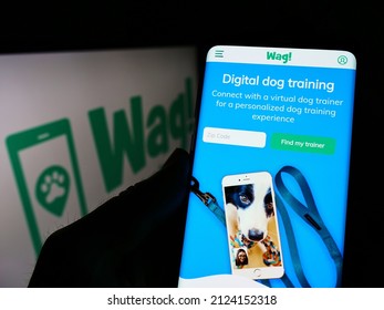 Stuttgart, Germany - 02-04-2022: Person holding cellphone with webpage of US pet care company Wag Labs Inc. on screen in front of business logo. Focus on center of phone display. Unmodified photo.