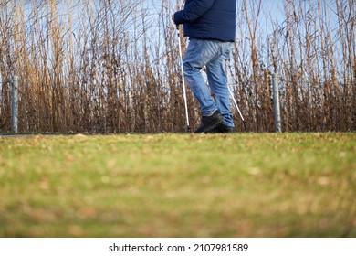 Stuttgart, Germany - January 08, 2022: Senior At Nordic Walking In Nature. Older Man In Jeans Doing Sport Activity Behind Green Lawn In Front Of Blue Lake With Reed Grass. Side View.