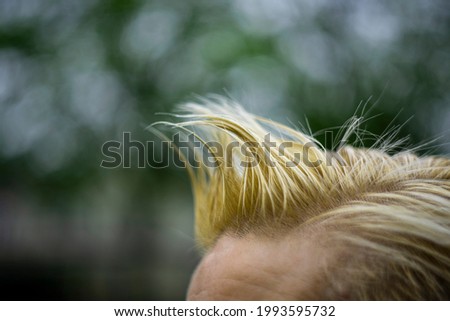 Styled hair fringe, sticking up with gel or moose. Blonde with dark roots. Sticking up and spiky. Short hair on top of female Caucasian head. Soft skin. Blurry background. Copy space to add text.
