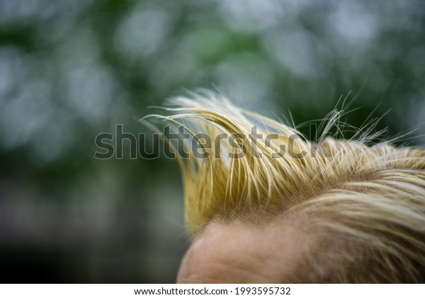 Styled hair fringe, sticking up with gel or moose.
Blonde with dark roots. Sticking up and spiky. Short hair on top of
female Caucasian head. Soft skin. Blurry background. Copy space to
add text.