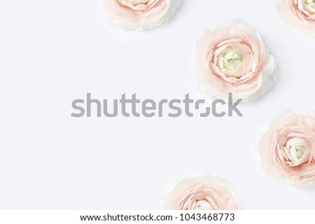 Styled stock photo. Feminine desktop mockup with blush pink buttercup flowers, Ranunculus, on  white table background. Flat lay, top view. Floral pattern. Picture for blog, social media.