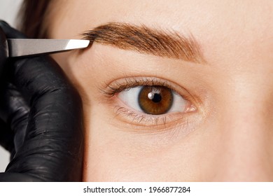 Styling And Lamination Of Eyebrows. Woman Doing Eyebrow Permanent Makeup Correction. Female Tweezing Her Eyebrows. Makeup Artist Combs And Plucks Eyebrows After Dyeing In A Beauty Salon.