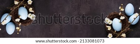 Stylish background with colorful easter eggs isolated on dark concrete background with blooming branches of sakura flowers. Horizontal long banner for web design. Flat lay, top view, mockup, overhead