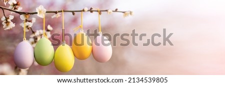 plum tree Egg Plum fruit