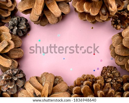 stylish background with pine cones on pink copy space for text. seasonal holidays concept